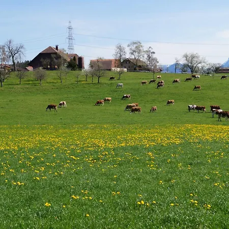 Land Luxury